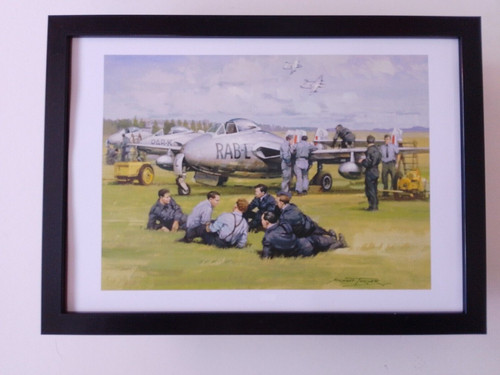 Michael turner aircraft print - aircraft,